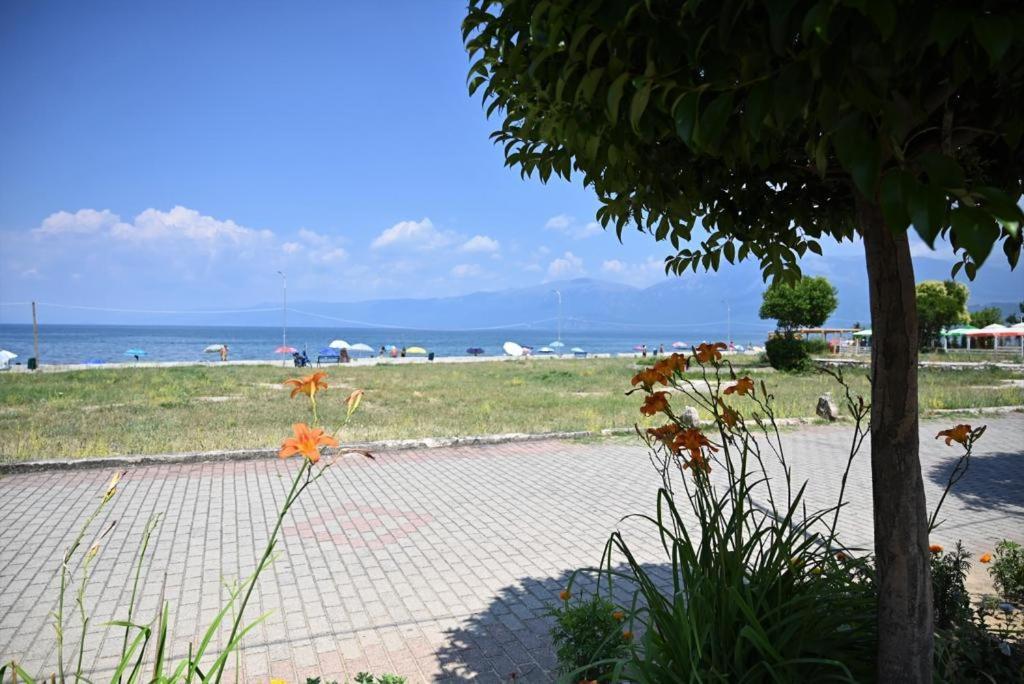 B & B Pogradec Exteriör bild